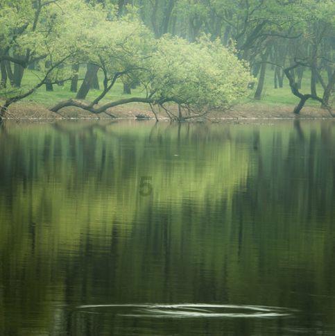 探寻吉鹿力问答社区——早产儿出院后应该如何进行护理?早产儿对营养的吸收能力是不是比较弱?专业答疑平台